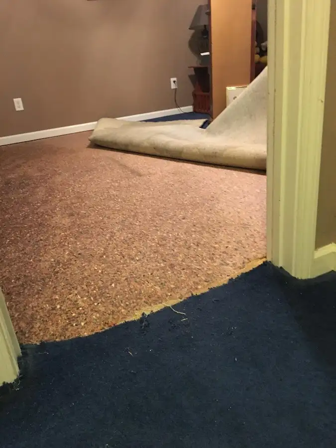Carpet pad removal revealing water damage during Water Mitigation Services in North Alamo