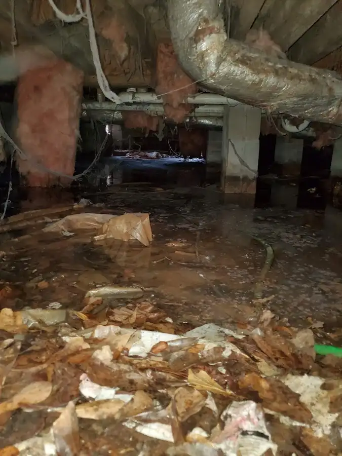 Crawl space flood assessment for Commercial Water Damage Restoration in North Alamo