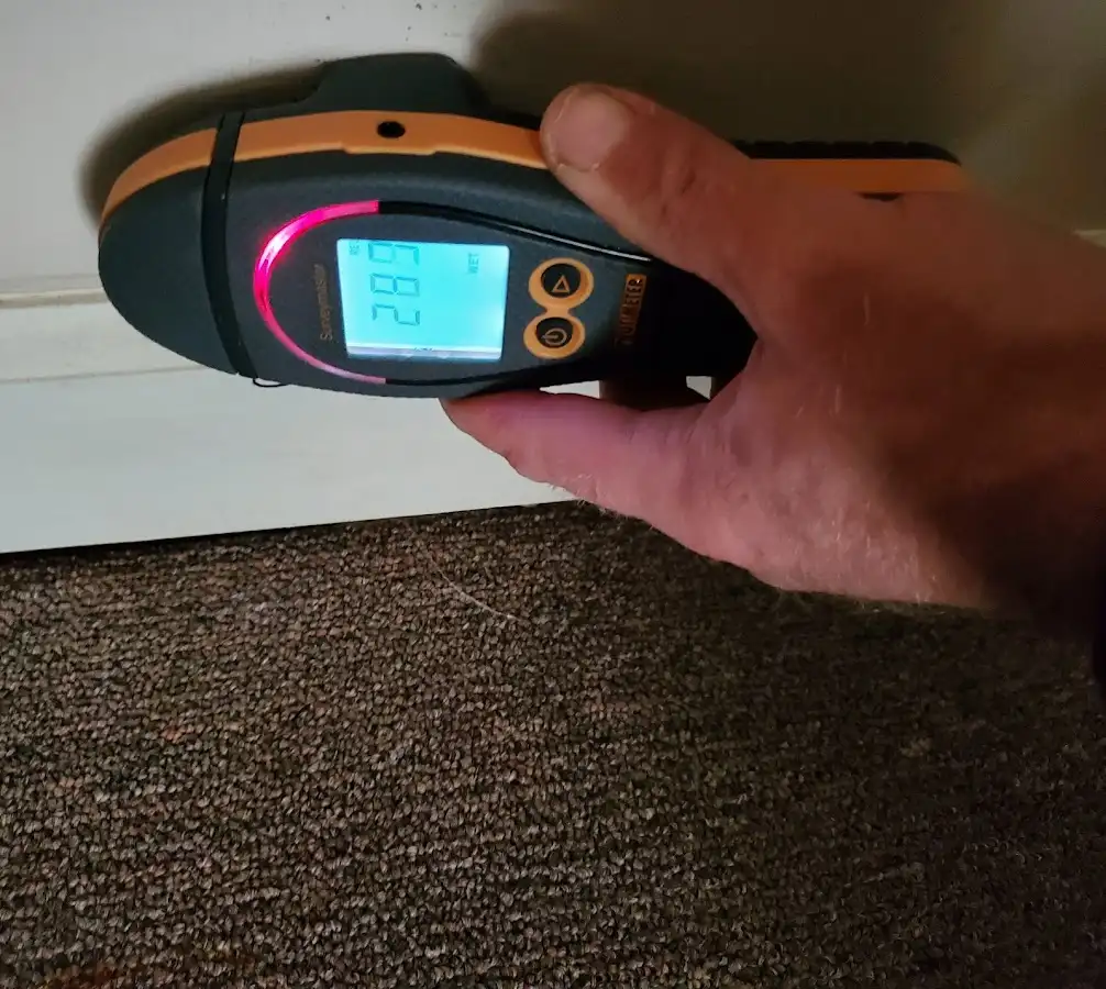 Moisture detection at baseboard during Sewage Cleanup & Sanitation in North Alamo